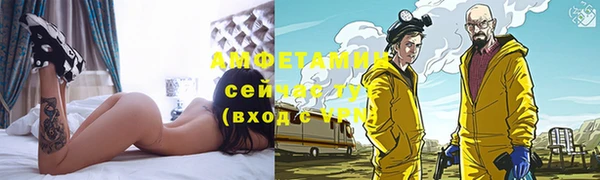 мдпв Осташков