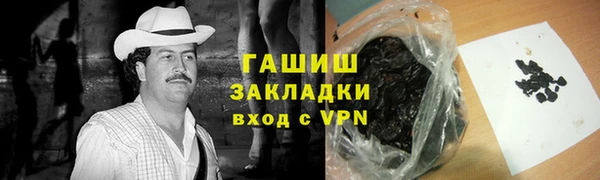 мдпв Осташков