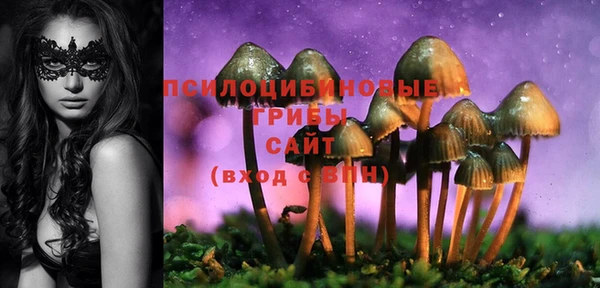 тгк Нязепетровск