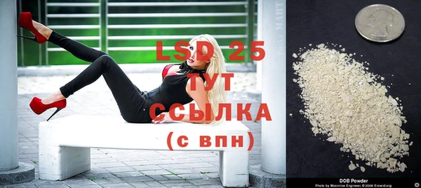 мдпв Осташков