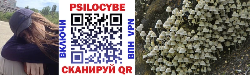 Галлюциногенные грибы Psilocybine cubensis  KRAKEN онион  Рыльск  хочу наркоту 